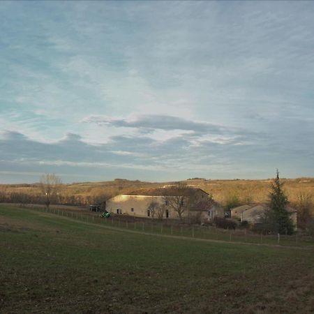 Lautrec Domaine De La Couderquie Bed & Breakfast エクステリア 写真