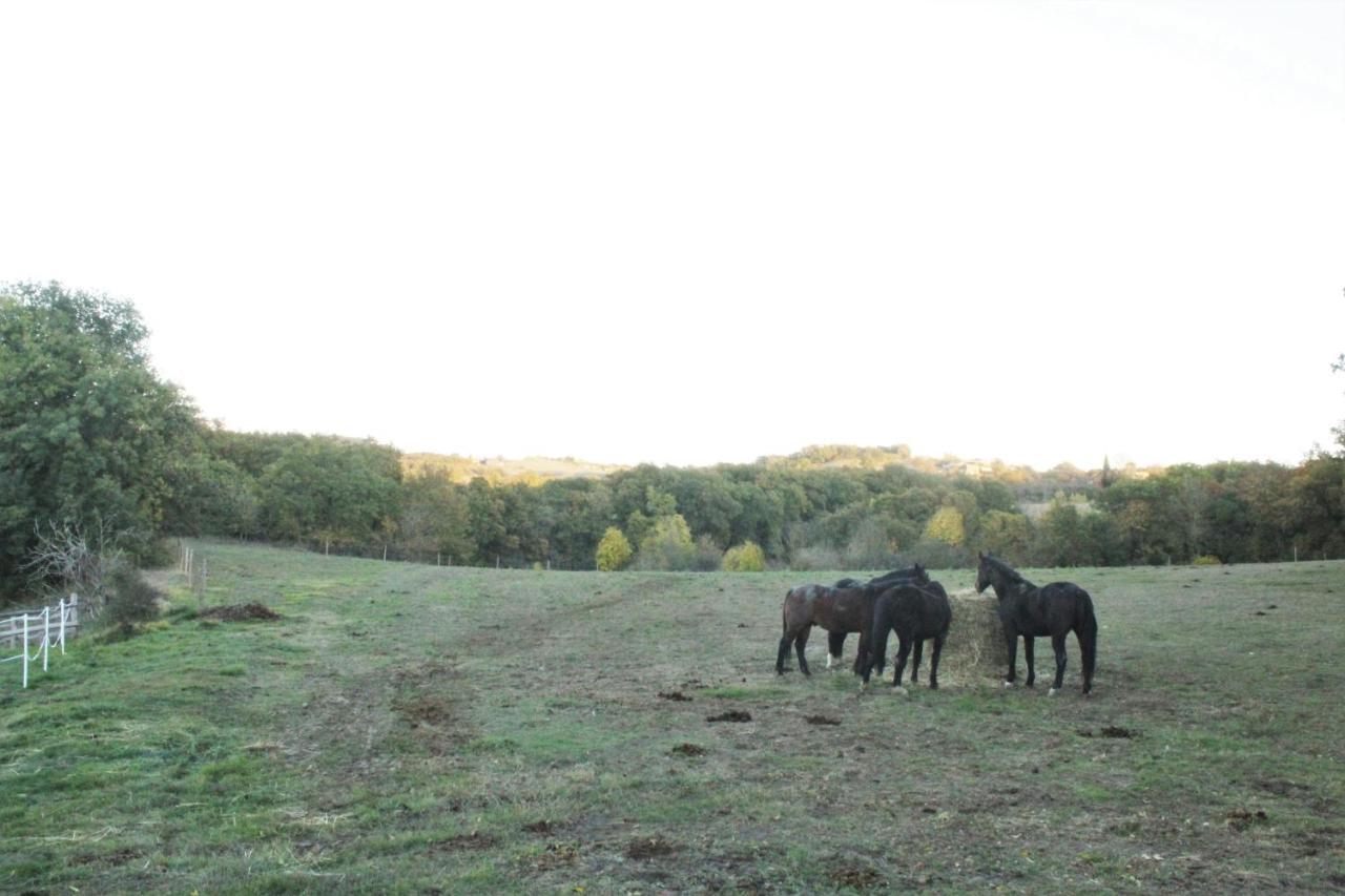 Lautrec Domaine De La Couderquie Bed & Breakfast エクステリア 写真