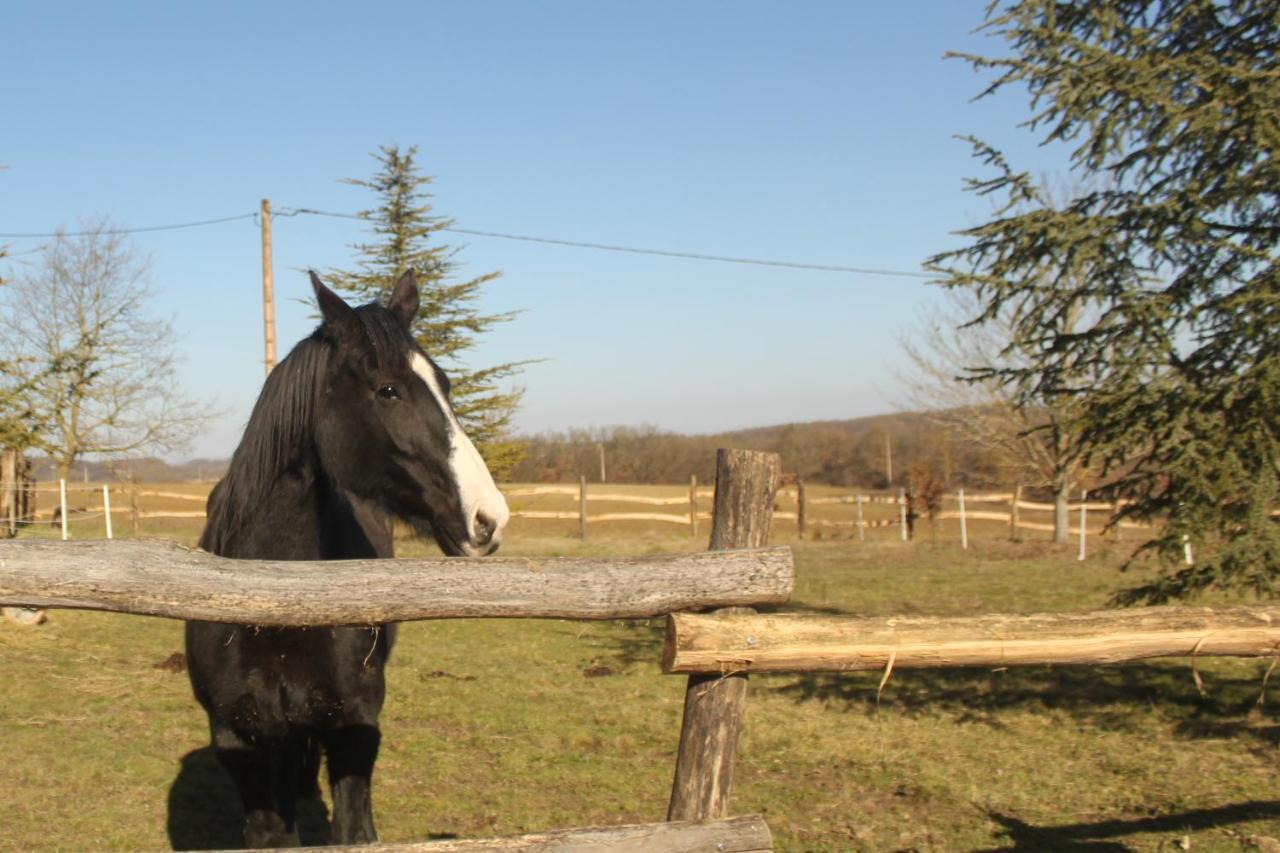 Lautrec Domaine De La Couderquie Bed & Breakfast エクステリア 写真