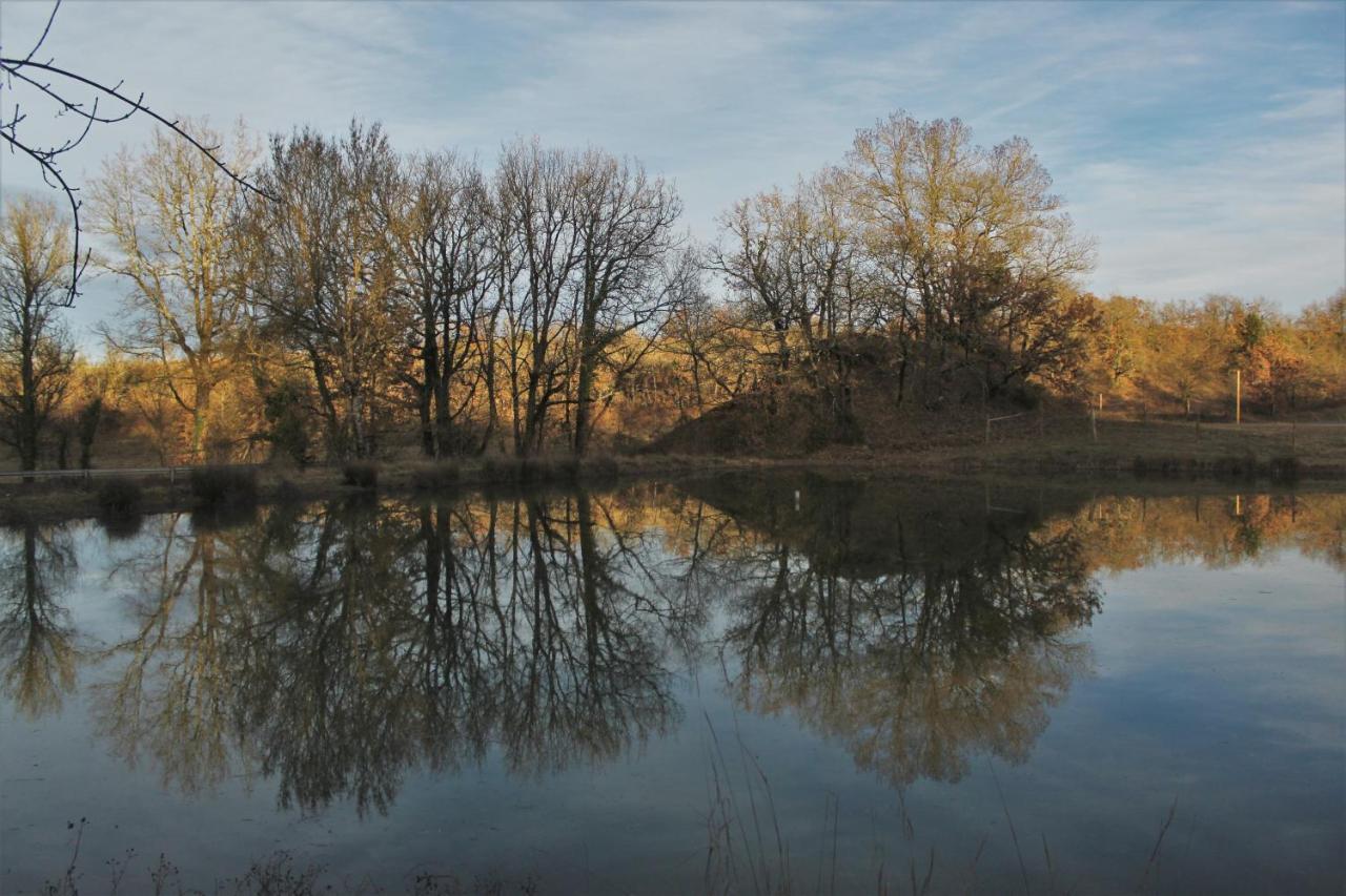 Lautrec Domaine De La Couderquie Bed & Breakfast エクステリア 写真