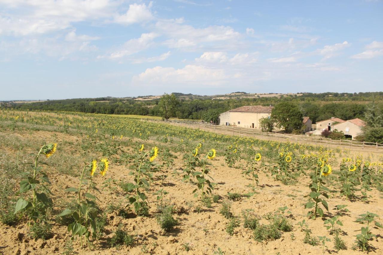 Lautrec Domaine De La Couderquie Bed & Breakfast エクステリア 写真