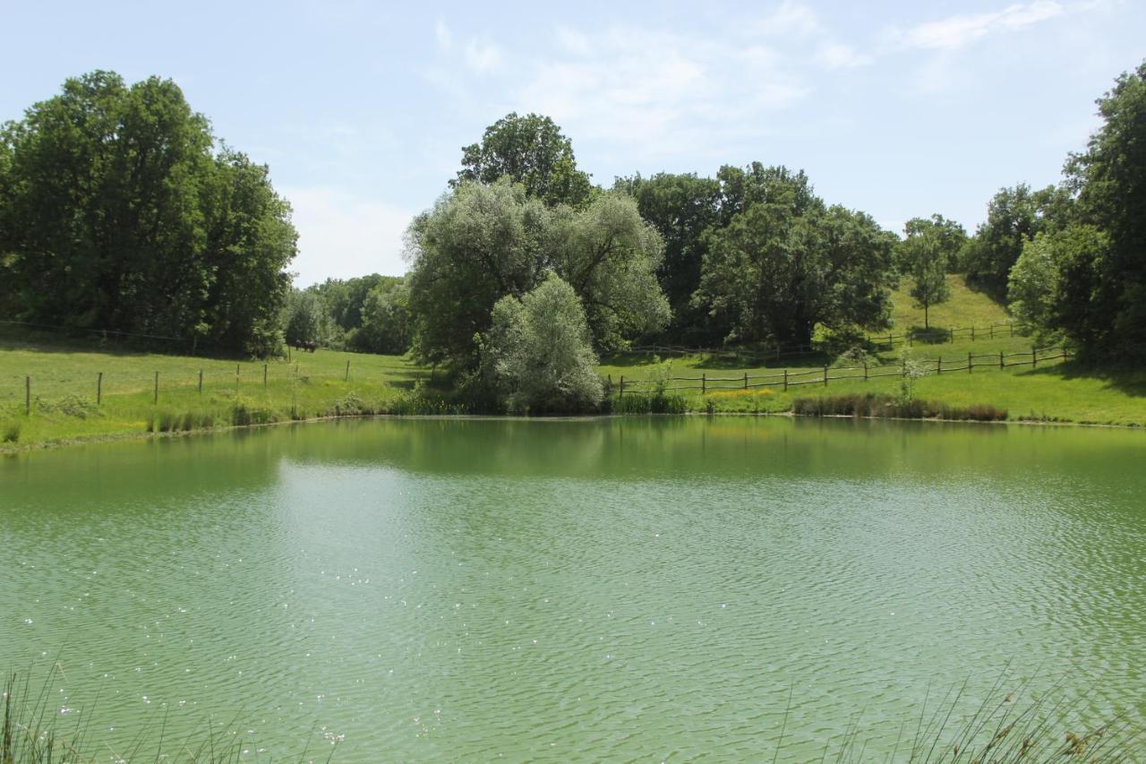 Lautrec Domaine De La Couderquie Bed & Breakfast エクステリア 写真